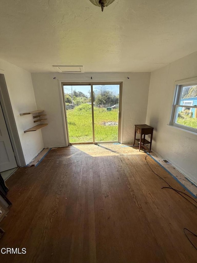 interior space with wood-type flooring