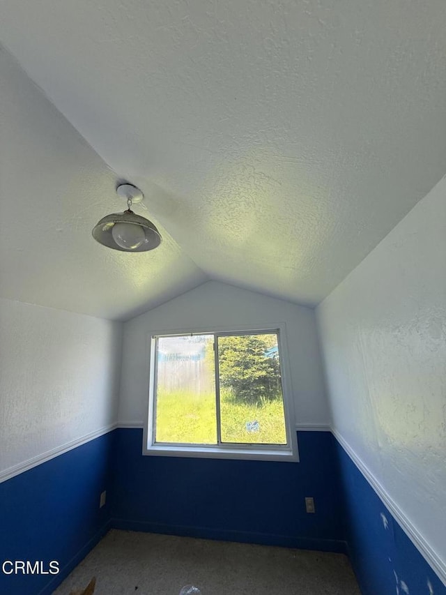 additional living space with carpet, a textured ceiling, and vaulted ceiling