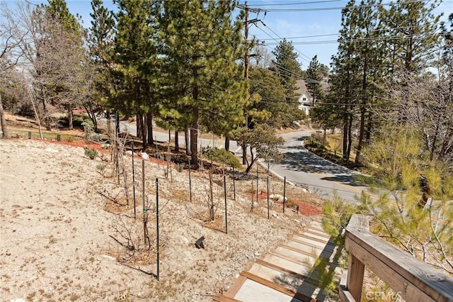 27482 Matterhorn Dr, Lake Arrowhead, CA 92352 - view of yard