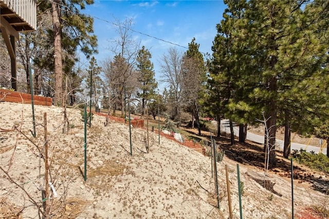 27482 Matterhorn Dr, Lake Arrowhead, CA 92352 - view of yard