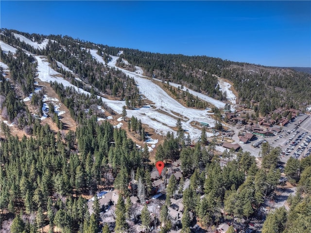 41935 Switzerland Dr Unit 100, Big Bear Lake, CA 92315 - aerial view with a wooded view
