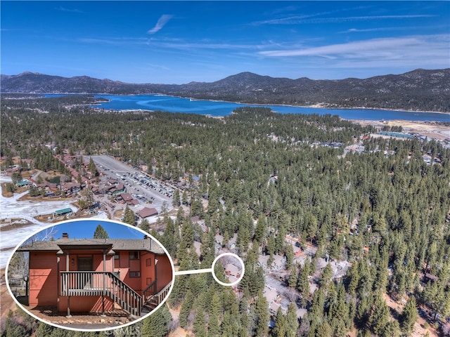 41935 Switzerland Dr Unit 100, Big Bear Lake, CA 92315 - aerial view with a view of trees and a water and mountain view