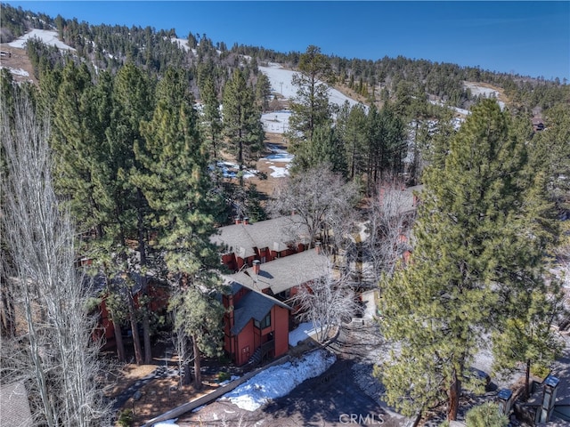 41935 Switzerland Dr Unit 100, Big Bear Lake, CA 92315 - bird's eye view featuring a wooded view