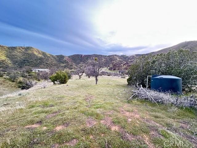 41346 Coalinga Mineral Springs Rd, Coalinga, CA 93210 - photo 57