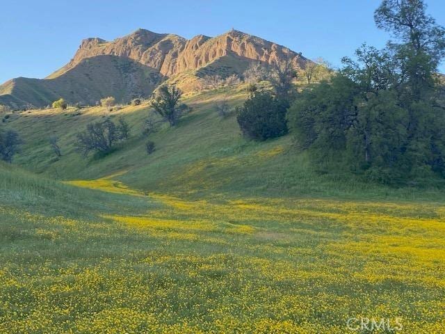 41346 Coalinga Mineral Springs Rd, Coalinga, CA 93210 - photo 49