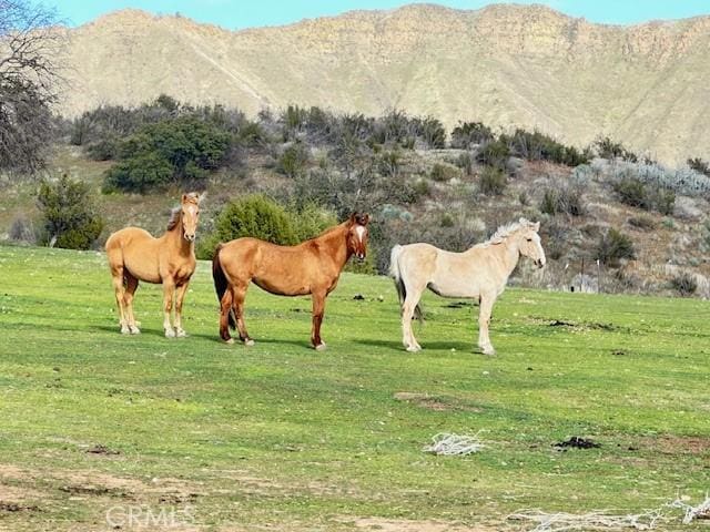 41346 Coalinga Mineral Springs Rd, Coalinga, CA 93210 - photo 51