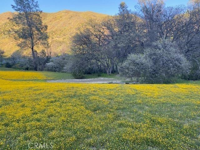 41346 Coalinga Mineral Springs Rd, Coalinga, CA 93210 - photo 48