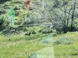 41346 Coalinga Mineral Springs Rd, Coalinga, CA 93210 - photo 65
