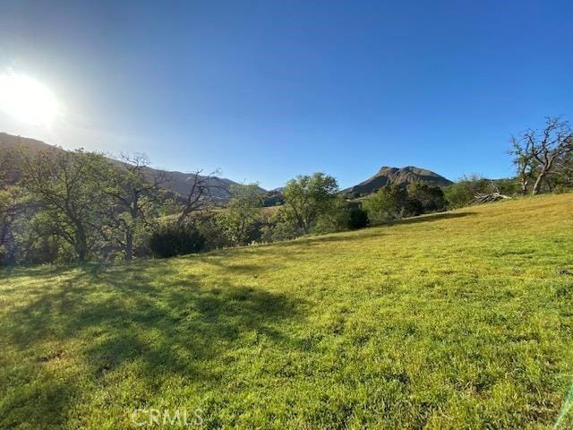41346 Coalinga Mineral Springs Rd, Coalinga, CA 93210 - photo 46