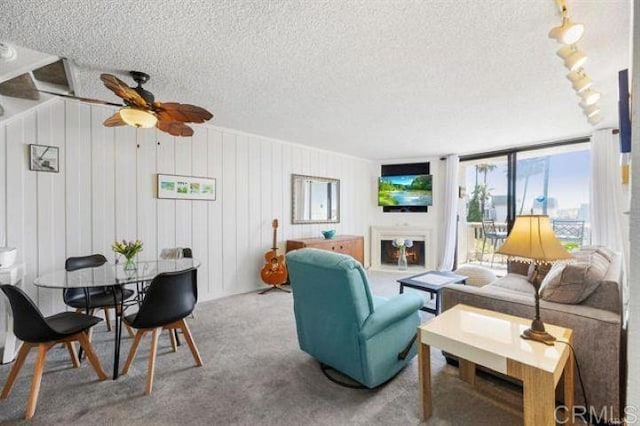 999 N Pacific St Unit G326, Oceanside, CA 92054 - living area featuring a ceiling fan, a textured ceiling, carpet floors, track lighting, and a lit fireplace