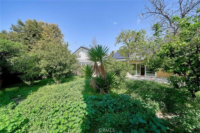 19910 Cantara St, Winnetka, CA 91306 - view of yard