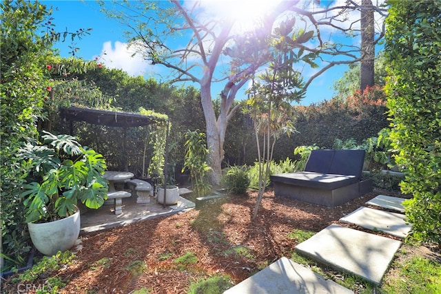 801 E Edgeware Rd, Los Angeles, CA 90026 - view of yard featuring a patio
