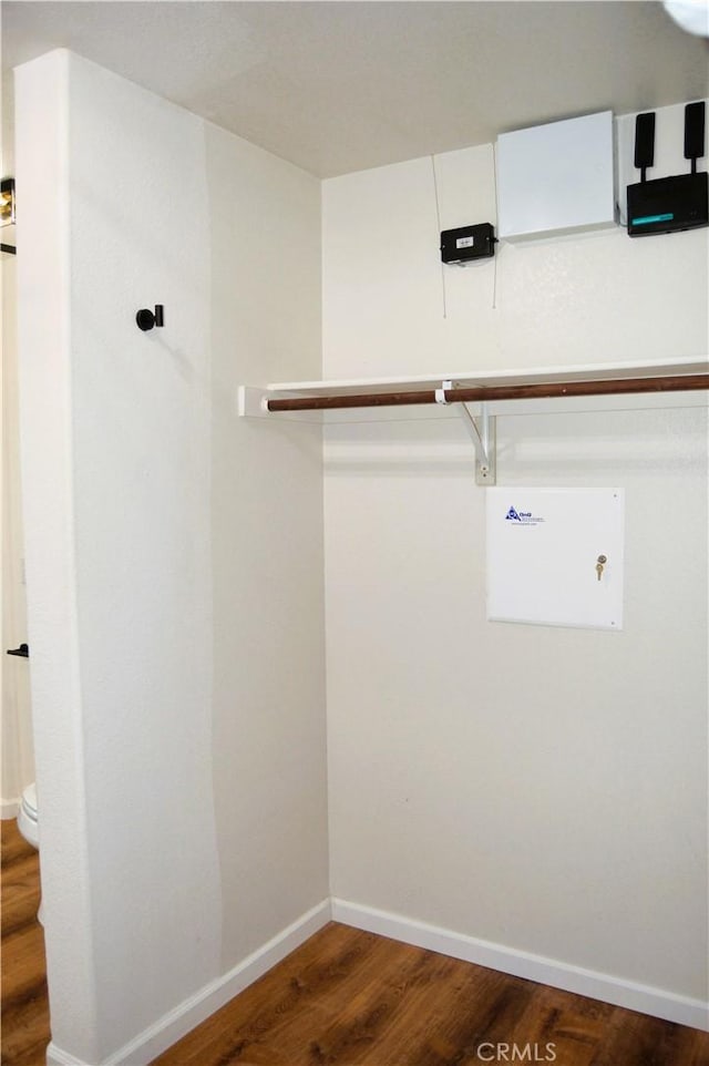 spacious closet featuring wood finished floors