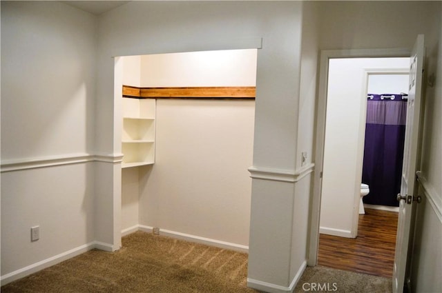 spacious closet featuring carpet