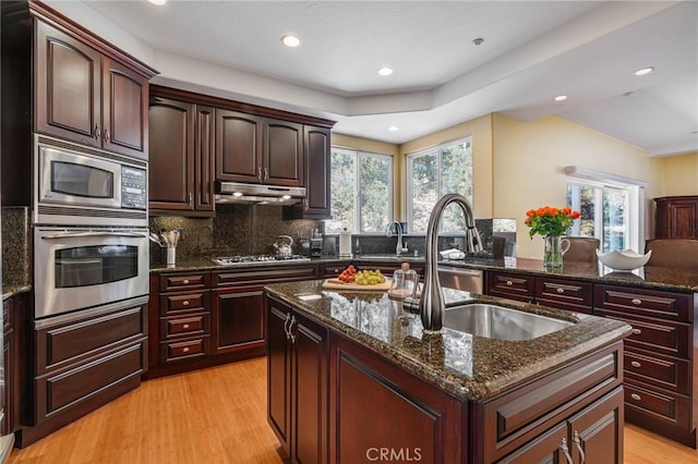 kitchen with a sink, light wood-style floors, a kitchen island with sink, under cabinet range hood, and appliances with stainless steel finishes