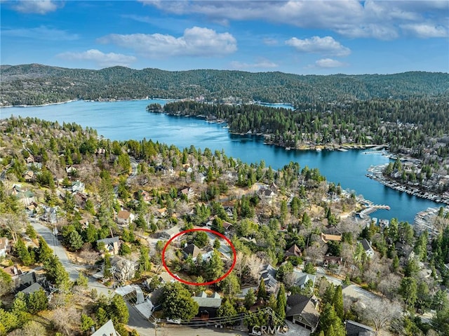 aerial view with a water view and a view of trees