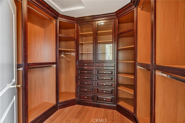 walk in closet featuring wood finished floors