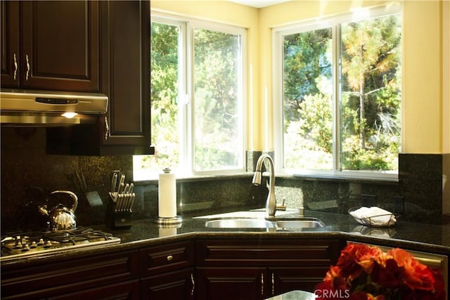 27732 N Bay Rd, Lake Arrowhead, CA 92352 - kitchen with under cabinet range hood, plenty of natural light, stainless steel gas stovetop, and dark brown cabinets