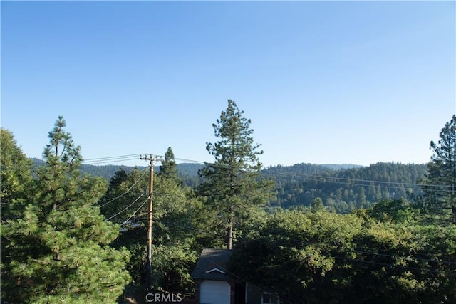 27732 N Bay Rd, Lake Arrowhead, CA 92352 - view of mountain background with a forest