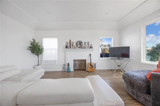 living area featuring a wealth of natural light, wood finished floors, and a raised ceiling