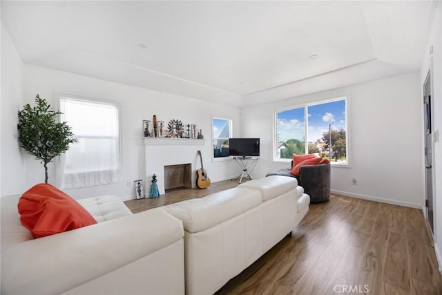 living area with baseboards, a tray ceiling, and wood finished floors