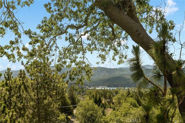 27684 St Bernard Ln, Lake Arrowhead, CA 92352 - view of mountain feature