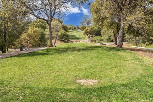 42852 Badger Circle Dr, Coarsegold, CA 93614 - view of home's community featuring a yard