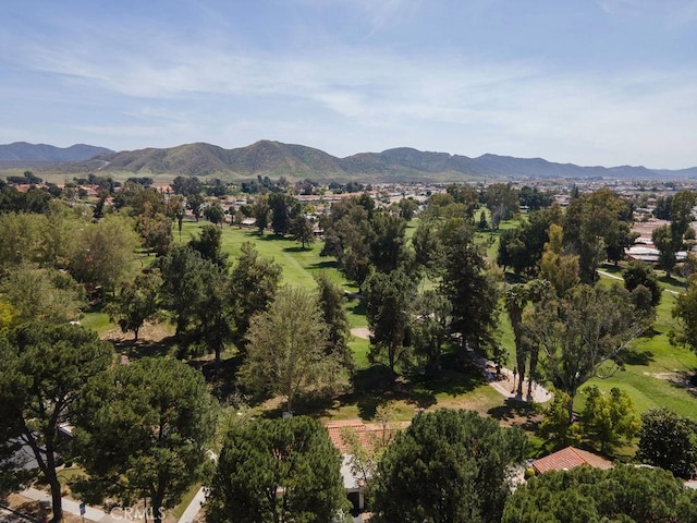 1130 Carob Ct, Hemet, CA 92545 - view of mountain background