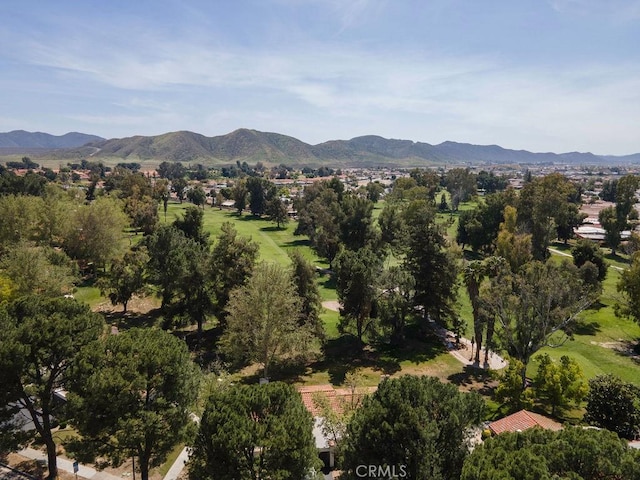 1130 Carob Ct, Hemet, CA 92545 - photo 32