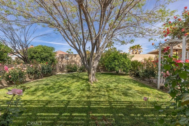 1130 Carob Ct, Hemet, CA 92545 - view of fenced backyard