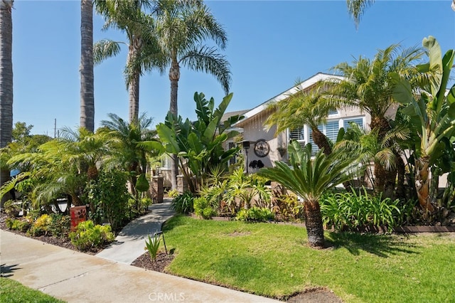 2645 S Patton Ave, San Pedro, CA 90731 - obstructed view of property featuring a front yard