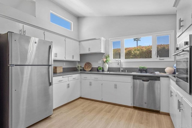 kitchen with light wood-type flooring, a healthy amount of sunlight, a sink, and stainless steel appliances