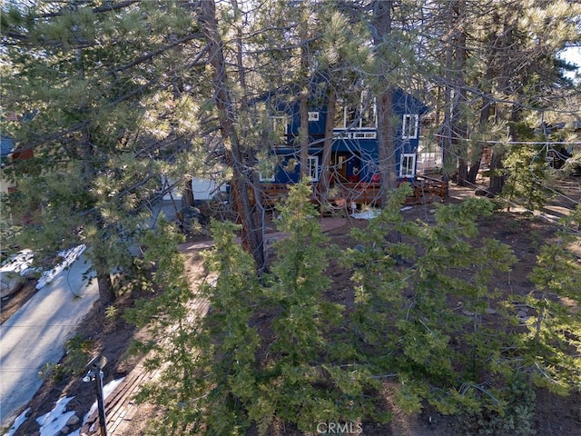 drone / aerial view