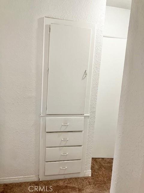 242 E 116th St, Los Angeles, CA 90061 - details with carpet flooring and a textured wall
