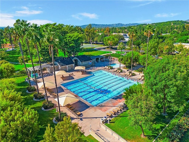 community pool with a patio