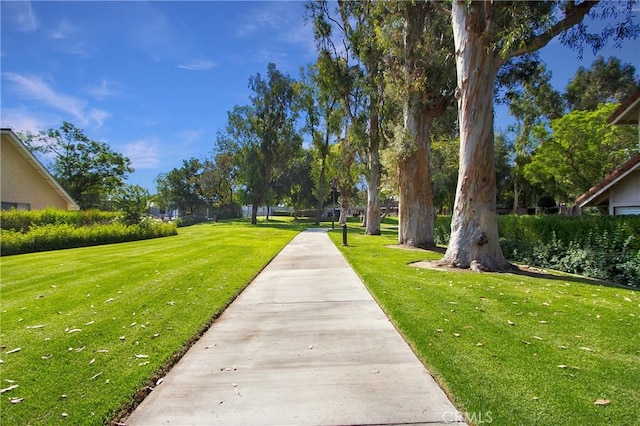 210 Garden Gate Ln, Irvine, CA 92620 - photo 42