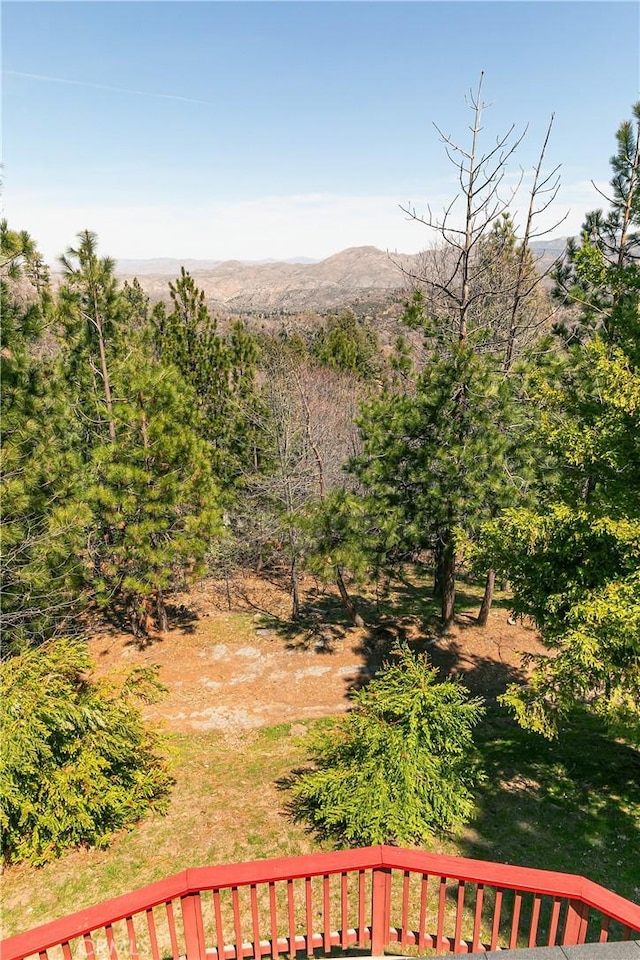1251 Kodiak Dr, Lake Arrowhead, CA 92352 - view of yard with a mountain view