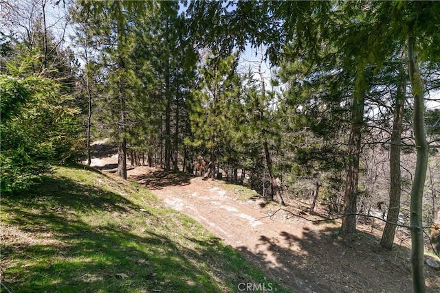 1251 Kodiak Dr, Lake Arrowhead, CA 92352 - view of yard featuring a view of trees