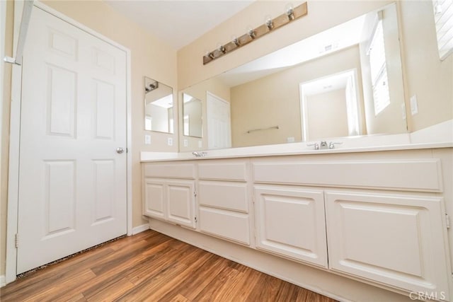 full bathroom featuring wood finished floors, double vanity, and a sink