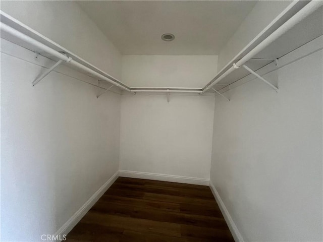 spacious closet featuring dark wood-type flooring