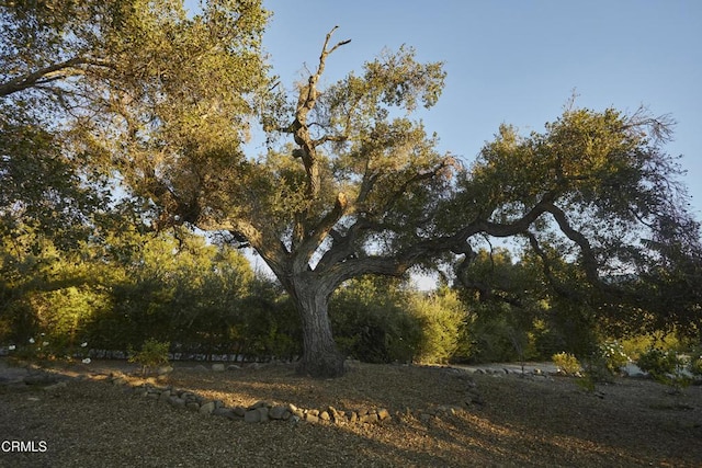 3450 Thacher Rd, Ojai, CA 93023 - view of yard