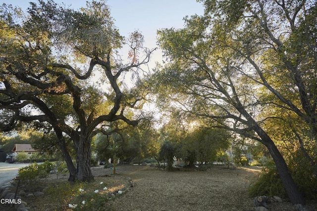 3450 Thacher Rd, Ojai, CA 93023 - view of home's community