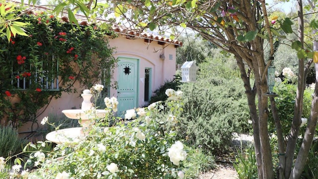 3450 Thacher Rd, Ojai, CA 93023 - entrance to property with stucco siding