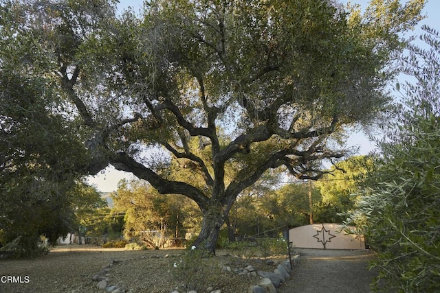3450 Thacher Rd, Ojai, CA 93023 - photo 18