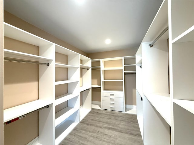spacious closet with light wood-style flooring