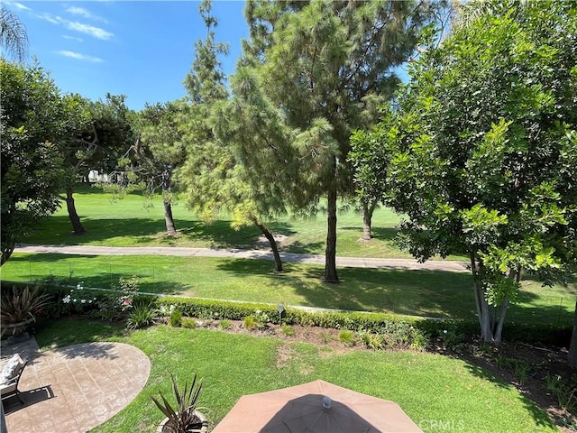 view of yard with a patio