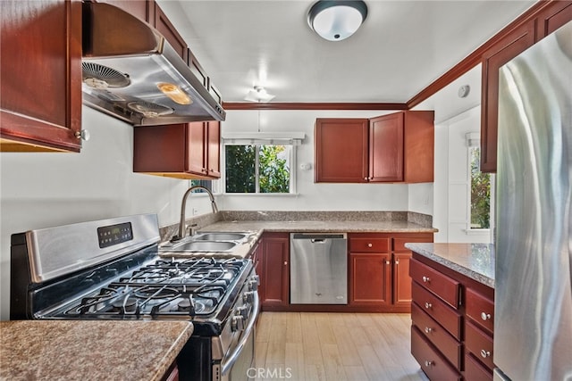 kitchen featuring light wood-type flooring, dark brown cabinets, appliances with stainless steel finishes, a sink, and ventilation hood