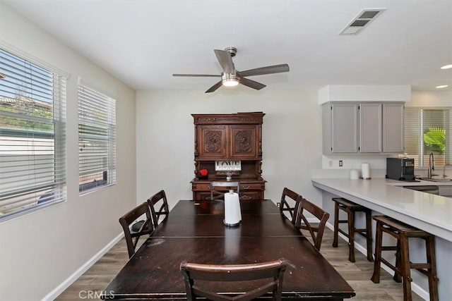 dining space featuring wood finished floors, a ceiling fan, visible vents, and a wealth of natural light