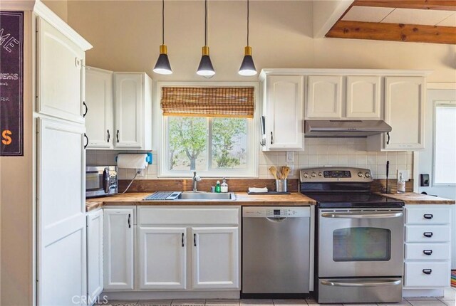 kitchen with stainless steel appliances, under cabinet range hood, a sink, and backsplash