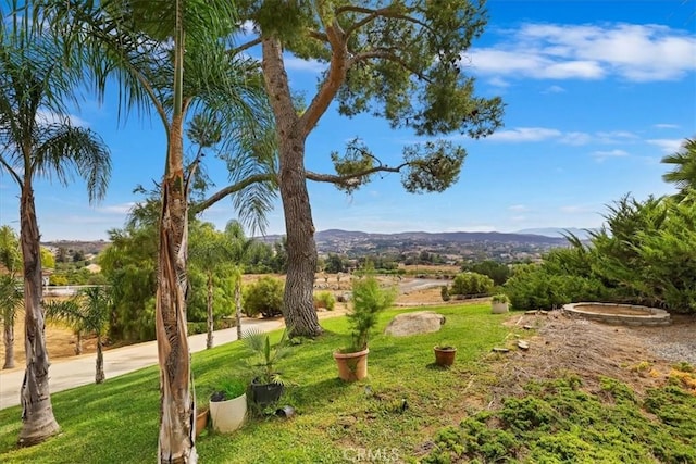 view of community with a yard and a mountain view